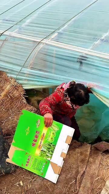 腊月吃啥瓜,传统美食中的甜蜜记忆