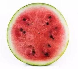 西瓜吃瓜法,夏日消暑新潮流