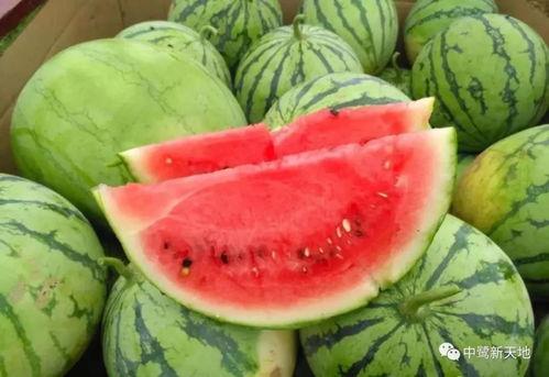 日留吃瓜,揭秘娱乐圈背后的那些事儿