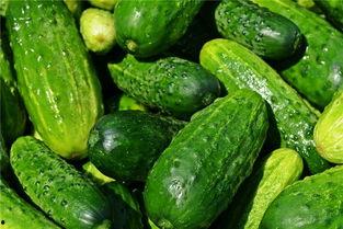 梦见吃黄瓜乳瓜,黄瓜乳瓜的神秘启示