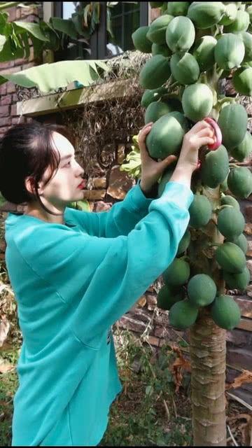 形容瓜吃的太多,过量瓜食的甜蜜负担