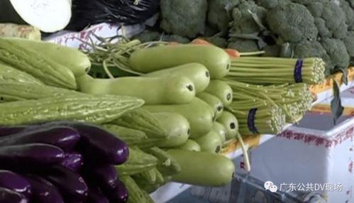 家人们吃的瓜,揭秘家人们热捧的瓜界传奇