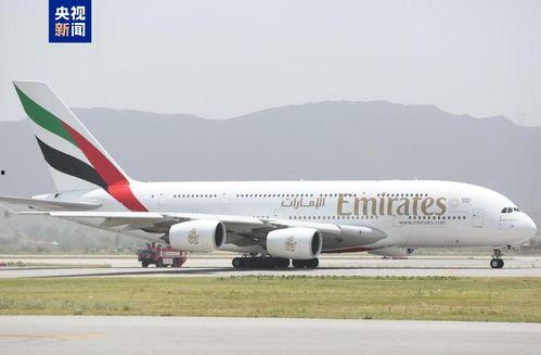 阿联酋航空吃瓜,揭秘机上特色美食背后的故事