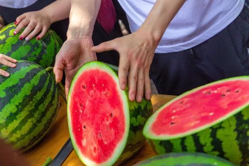 学校澡堂吃瓜,校园吃瓜群众的欢乐日常