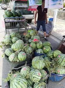 南师泰院吃瓜事件,校园风波背后的真相与反思