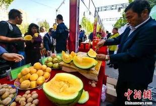 东莞最新吃瓜事件新闻,揭秘背后惊人真相