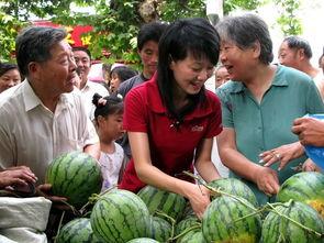 威海吃瓜群众,揭秘当地美食文化趣闻