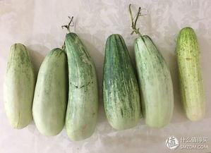 吃瓜的本人,我的吃瓜人生记