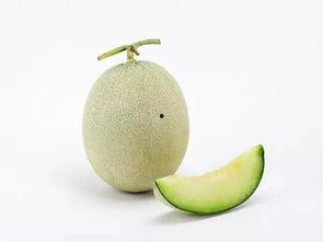 吃瓜吃得好撑,畅享美味，尽享人生