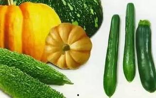 胖森吃瓜,揭秘娱乐圈那些不为人知的幕后故事