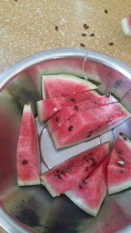 壮实的瓜吃不动了,探寻美味背后的秘密