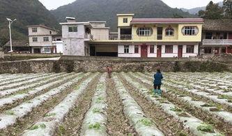 吃瓜群众黑白配,揭秘吃瓜群众的趣味生活