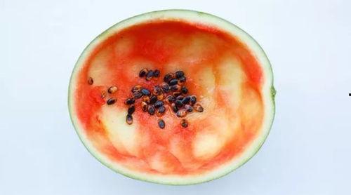 没勺子怎么吃瓜