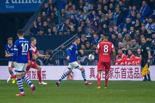 vuk吃瓜塞尔维亚,揭秘塞尔维亚的神秘面纱