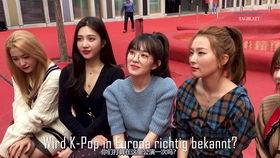 吃瓜群众wendy,揭秘娱乐圈幕后故事