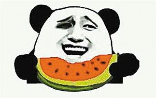 吃瓜群众下雨视频大全