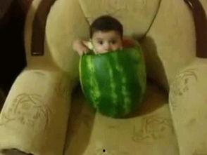 笑话吃瓜人,吃瓜者的欢乐与智慧